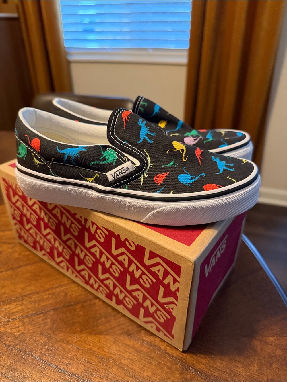 Vans Kids Black Slip-On Sneakers with Multicolor Dino Motif